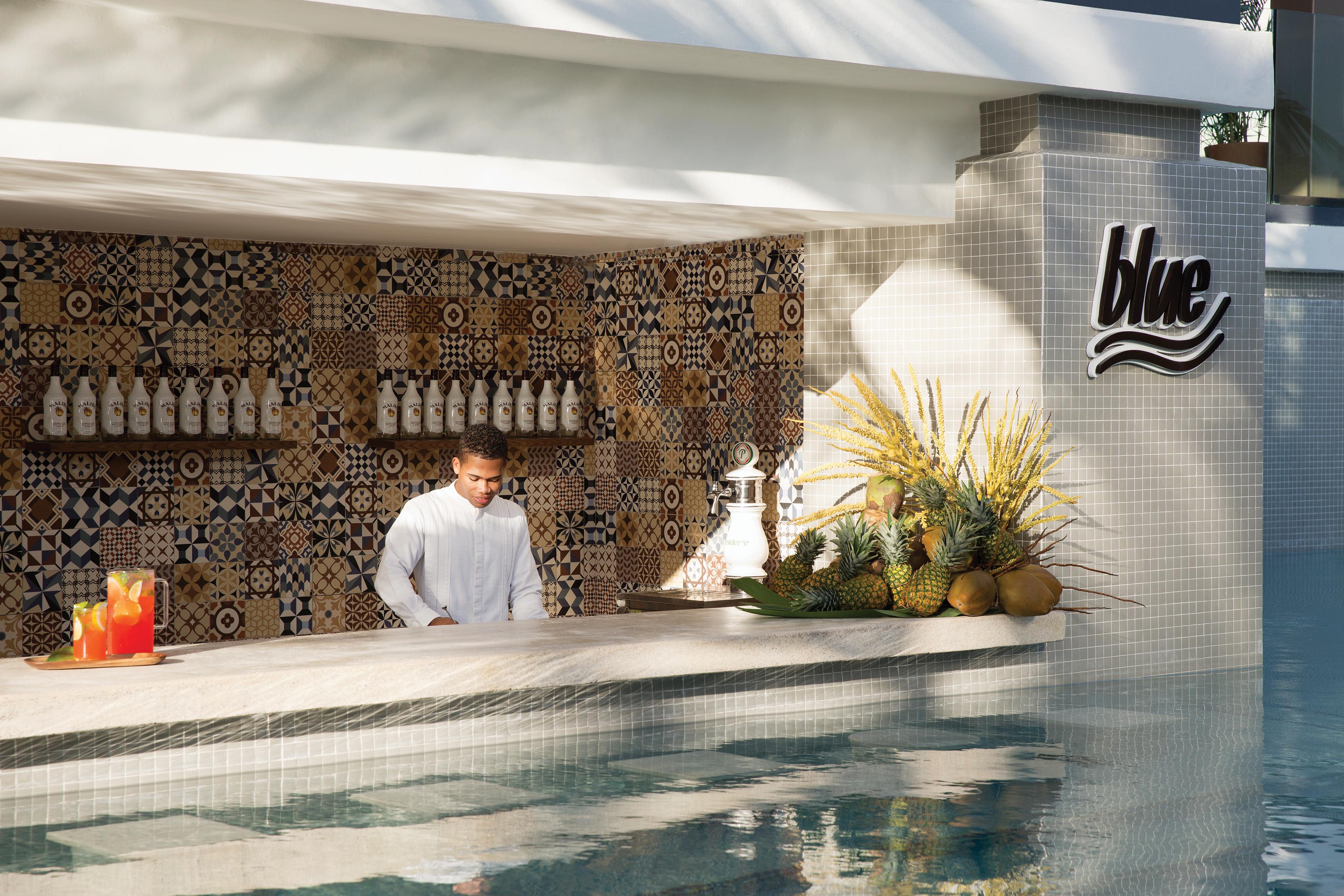 Excellence El Carmen (Adults Only) Otel Punta Cana Dış mekan fotoğraf