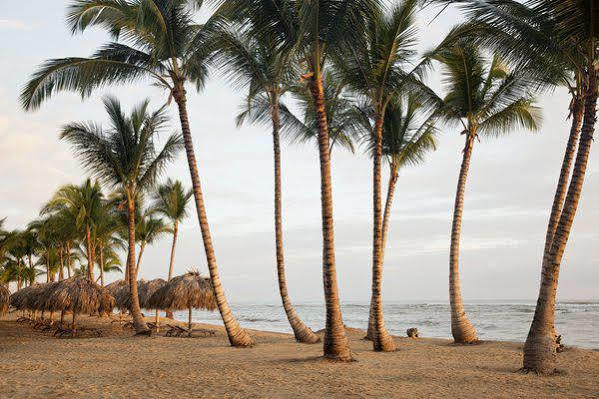 Excellence El Carmen (Adults Only) Otel Punta Cana Dış mekan fotoğraf